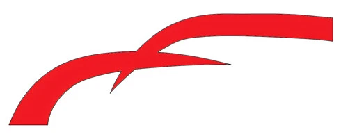 Shangai Xinmao Automobilistico Tecnologia Co., Ltd.